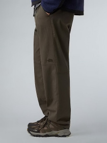 Брюки повседневные The North Face Beta Utility Belted модель NF0A8B6221L1 Фото