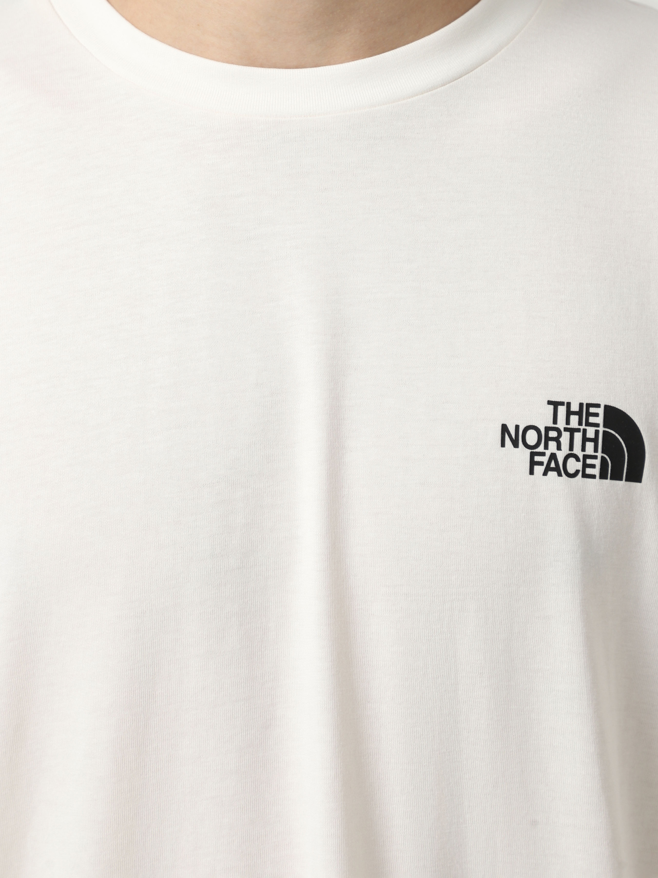 Футболка The North Face Explore Gear модель NF0A8F2GQLI1 Фото