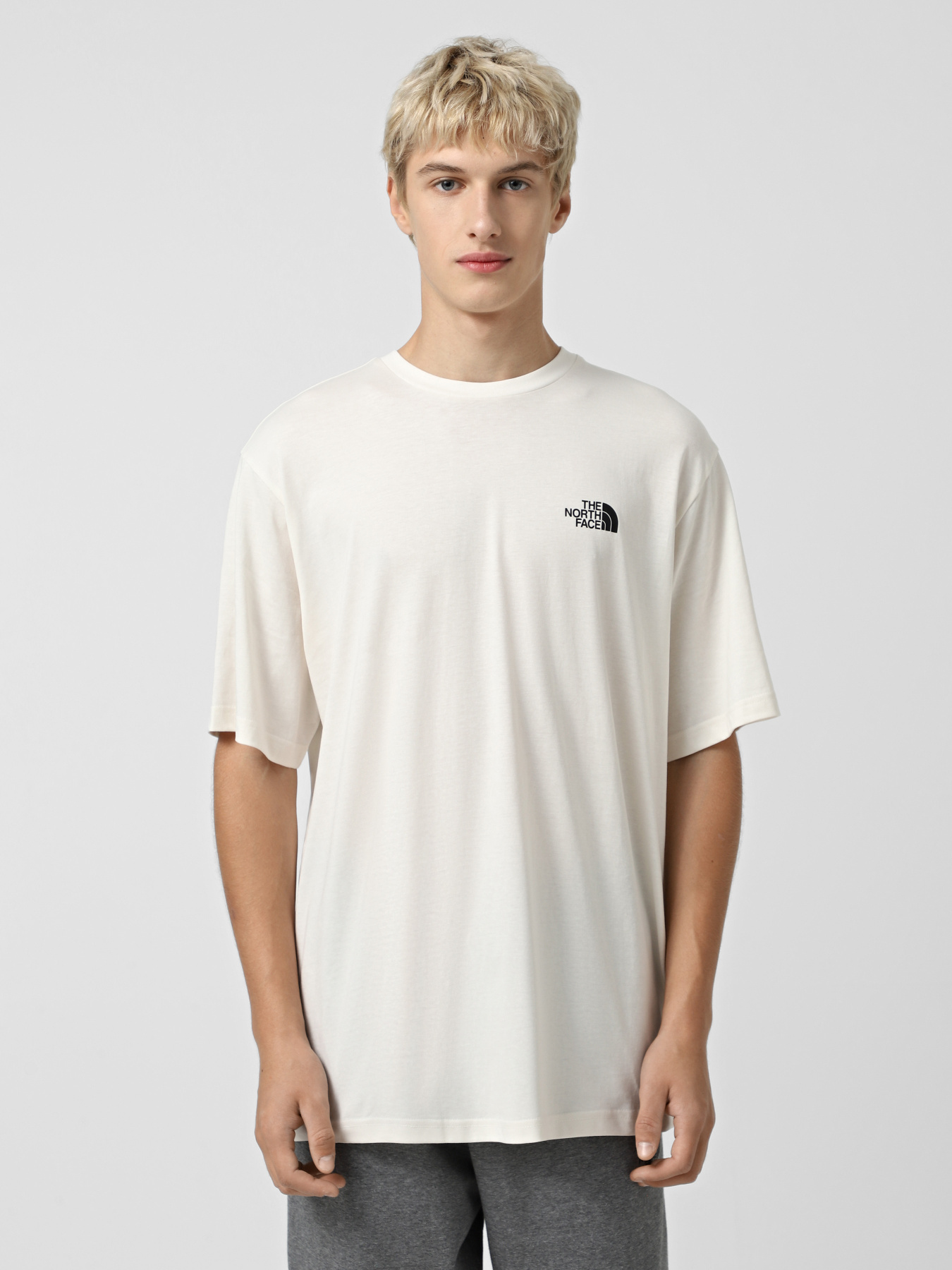 Футболка The North Face Explore Gear модель NF0A8F2GQLI1 Фото