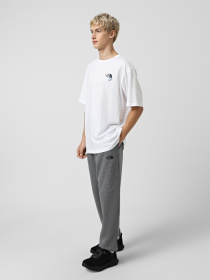 Футболка The North Face Explore Carabiner модель NF0A8F2HFN41 Фото