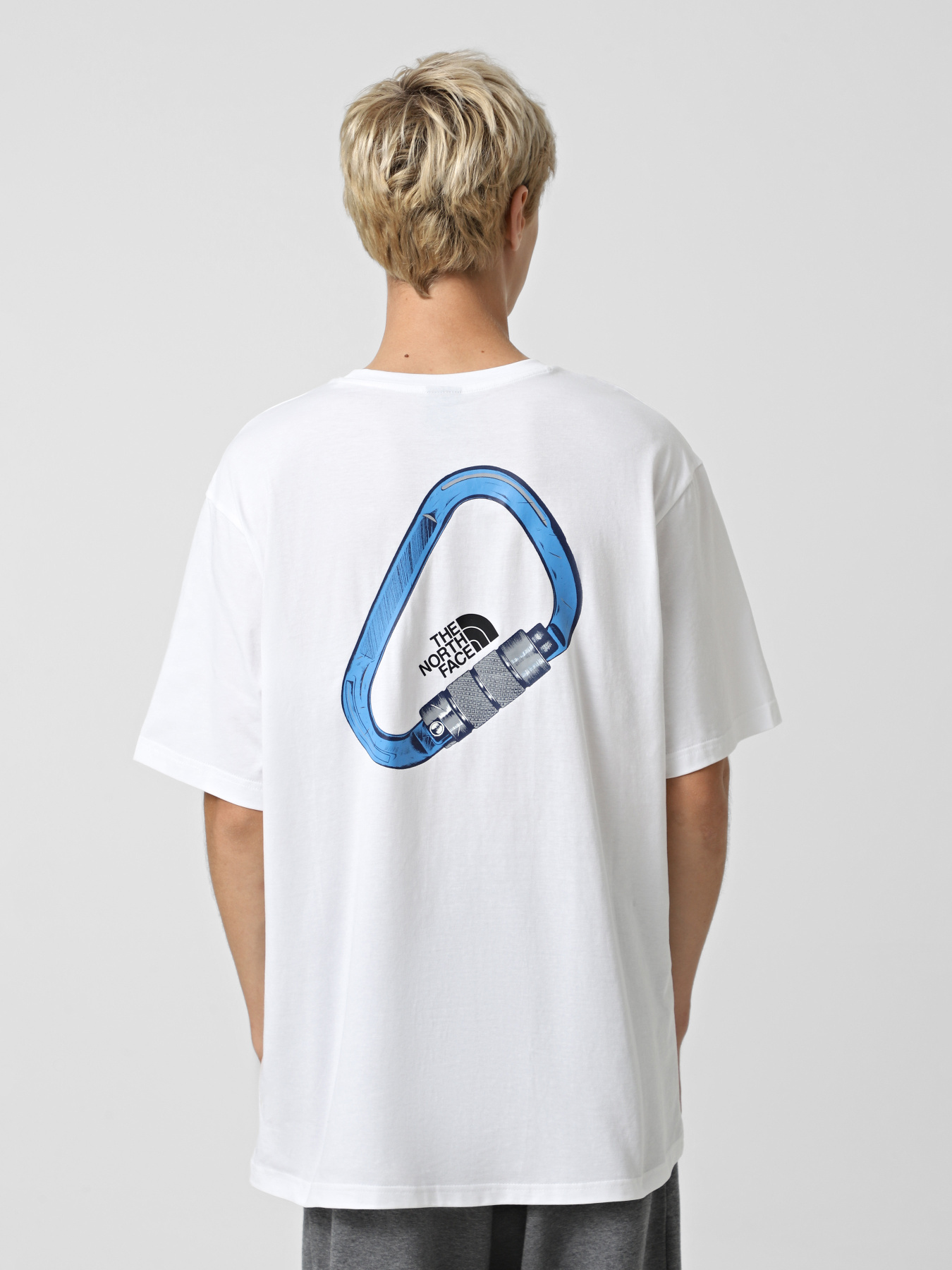 Футболка The North Face Explore Carabiner модель NF0A8F2HFN41 Фото