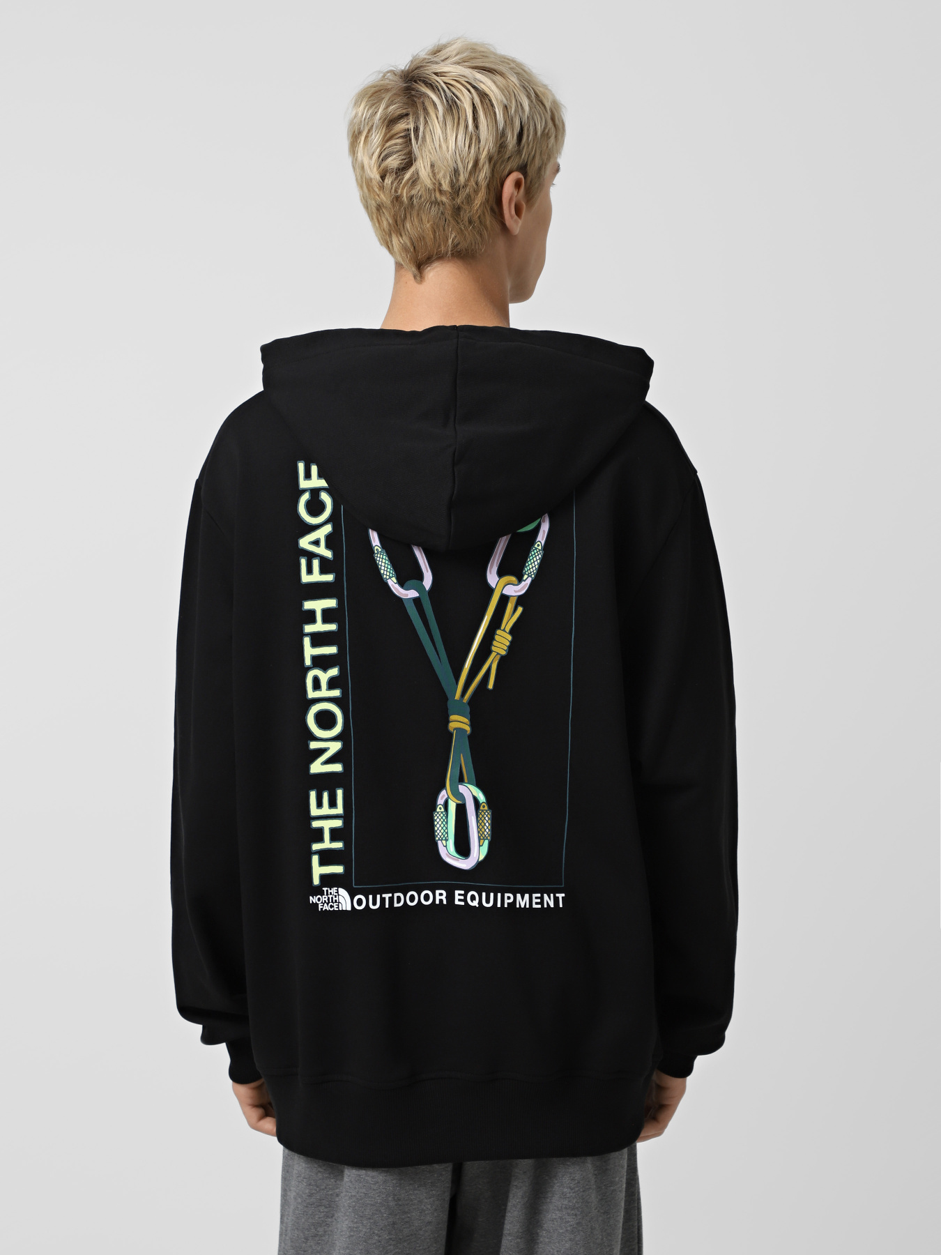 Худи The North Face Gear модель NF0A8F2KJK31 Фото