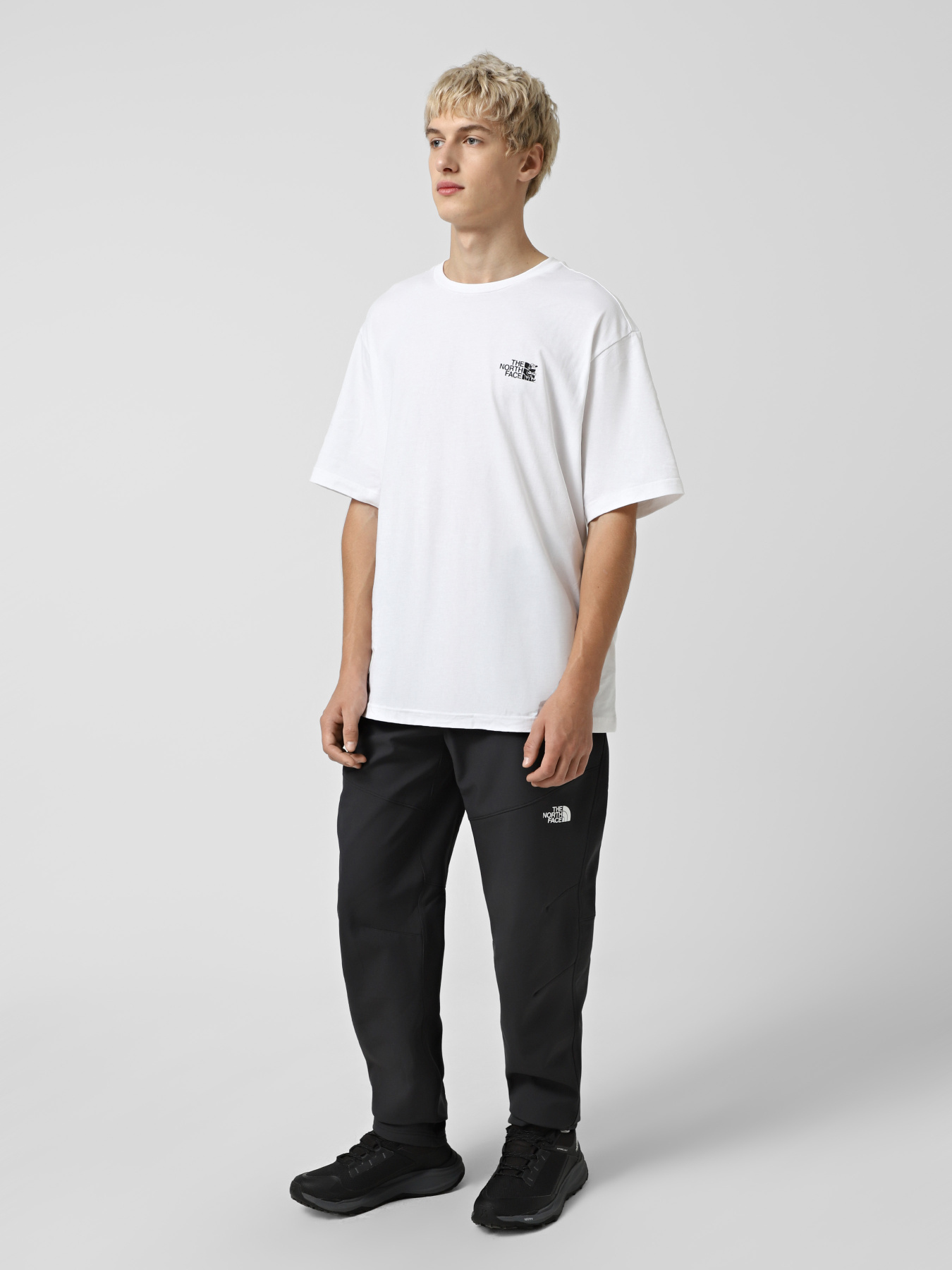 Футболка The North Face Run Graphic модель NF0A8F2PFN41 Фото