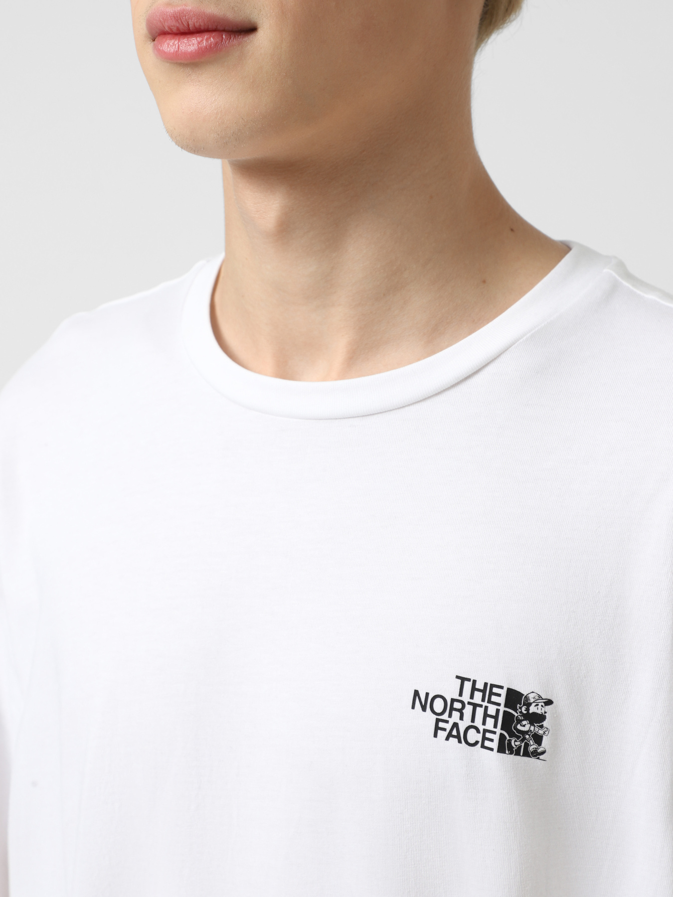 Футболка The North Face Run Graphic модель NF0A8F2PFN41 Футболка The North Face Run Graphic модель NF0A8F2PFN41 Фото