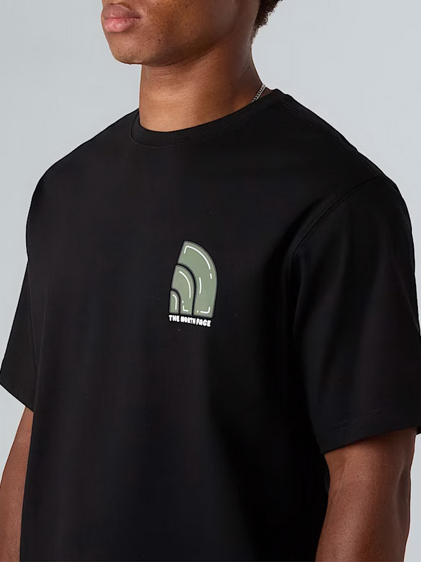 Футболка The North Face Bubble модель NF0A8F2RJK31 Фото