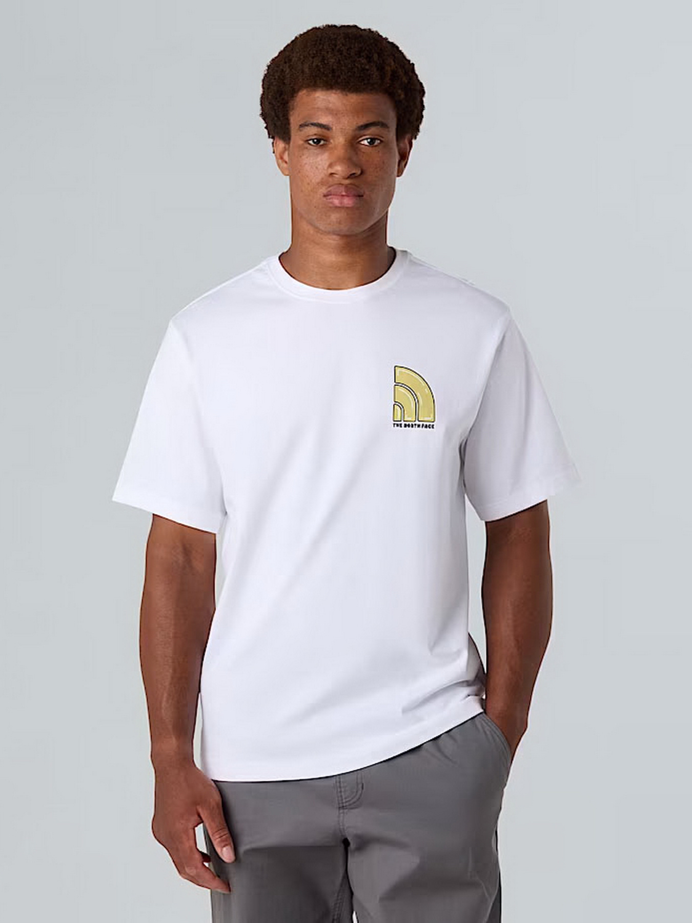 Футболка The North Face Bubble модель NF0A8F2RFN41 Фото