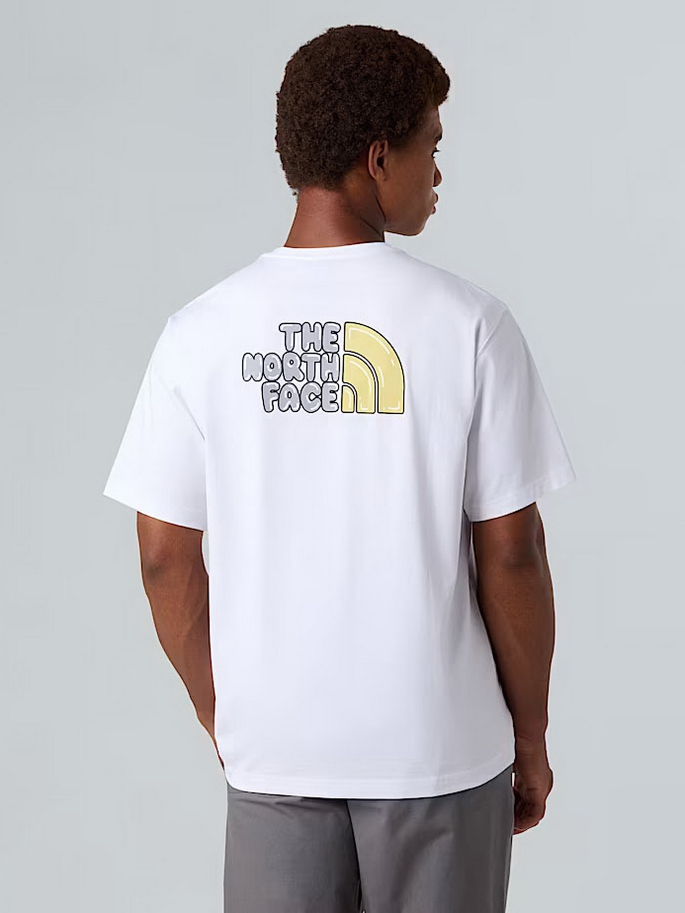 Футболка The North Face Bubble модель NF0A8F2RFN41 Фото