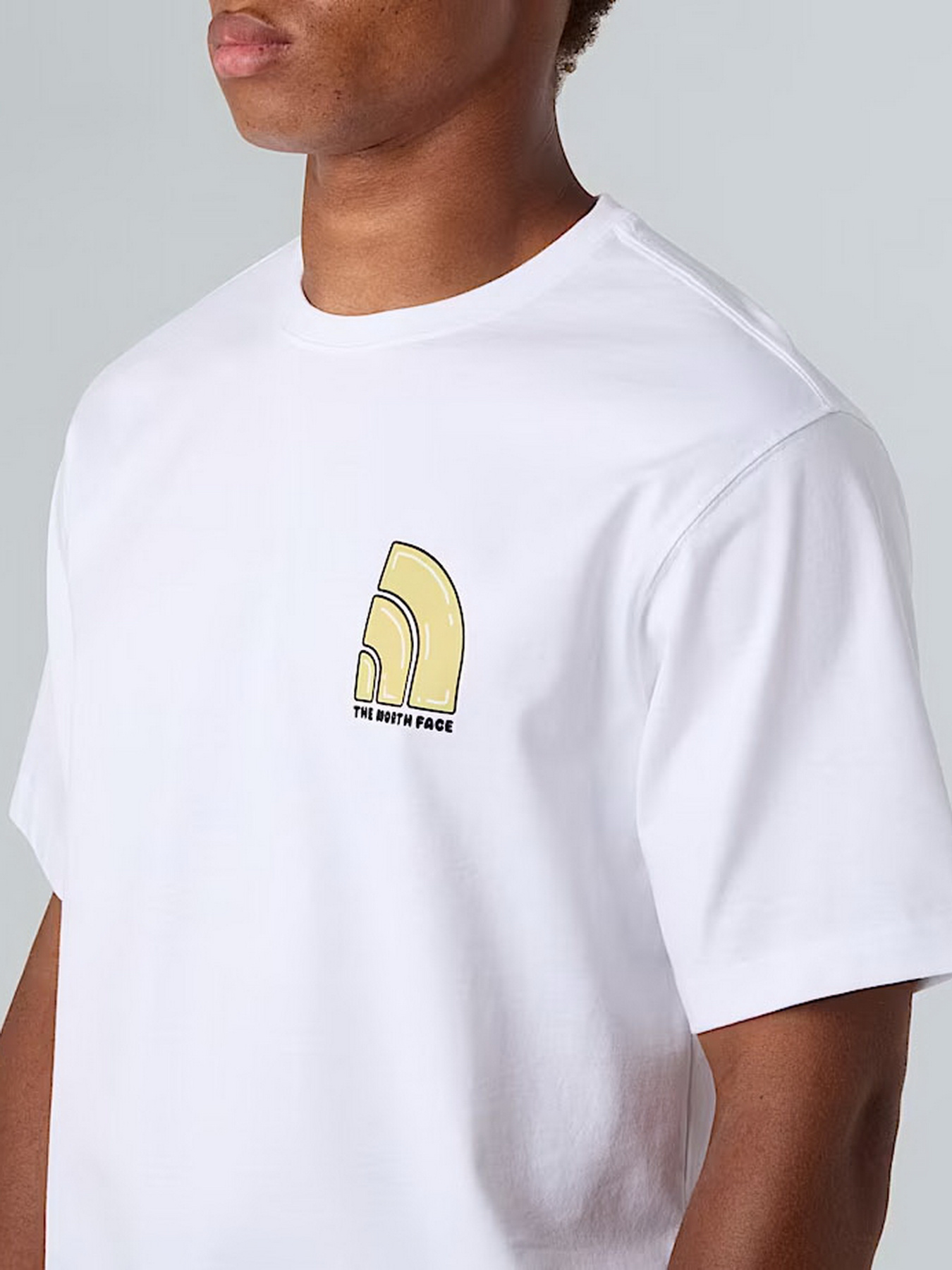 Футболка The North Face Bubble модель NF0A8F2RFN41 Фото