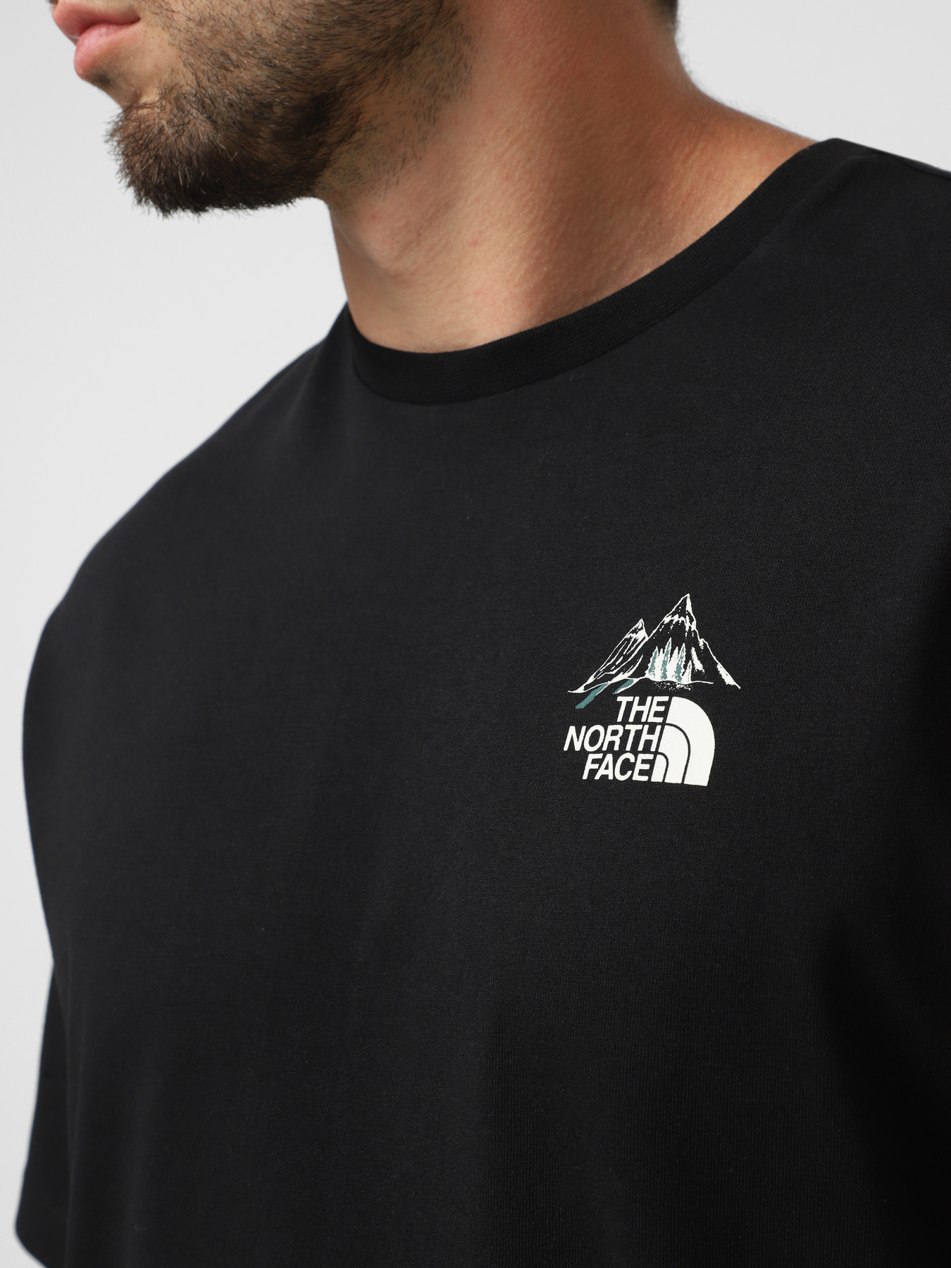 Футболка The North Face HKE модель NF0A8F2TJK31 Фото