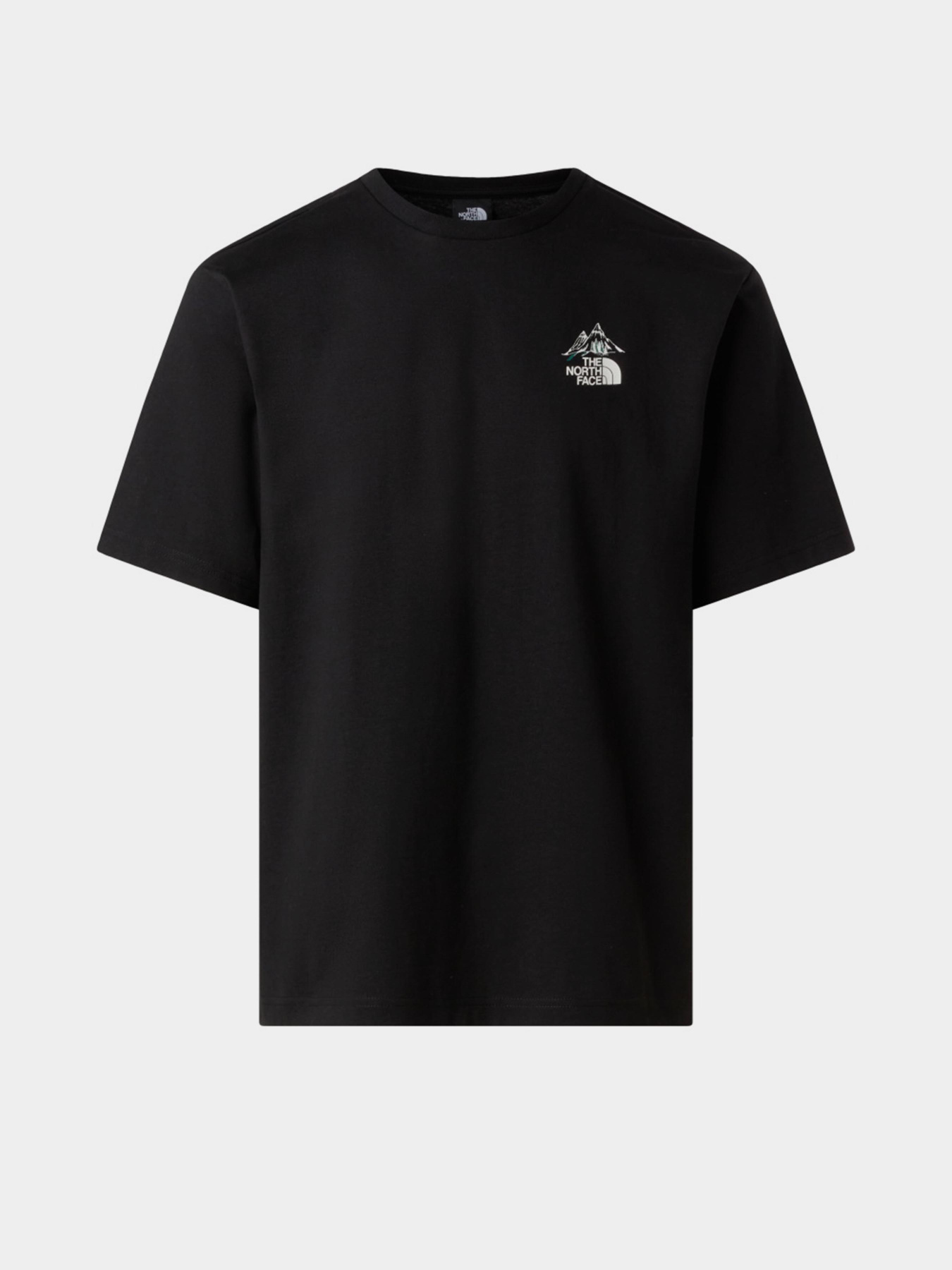 Футболка The North Face HKE модель NF0A8F2TJK31 Фото