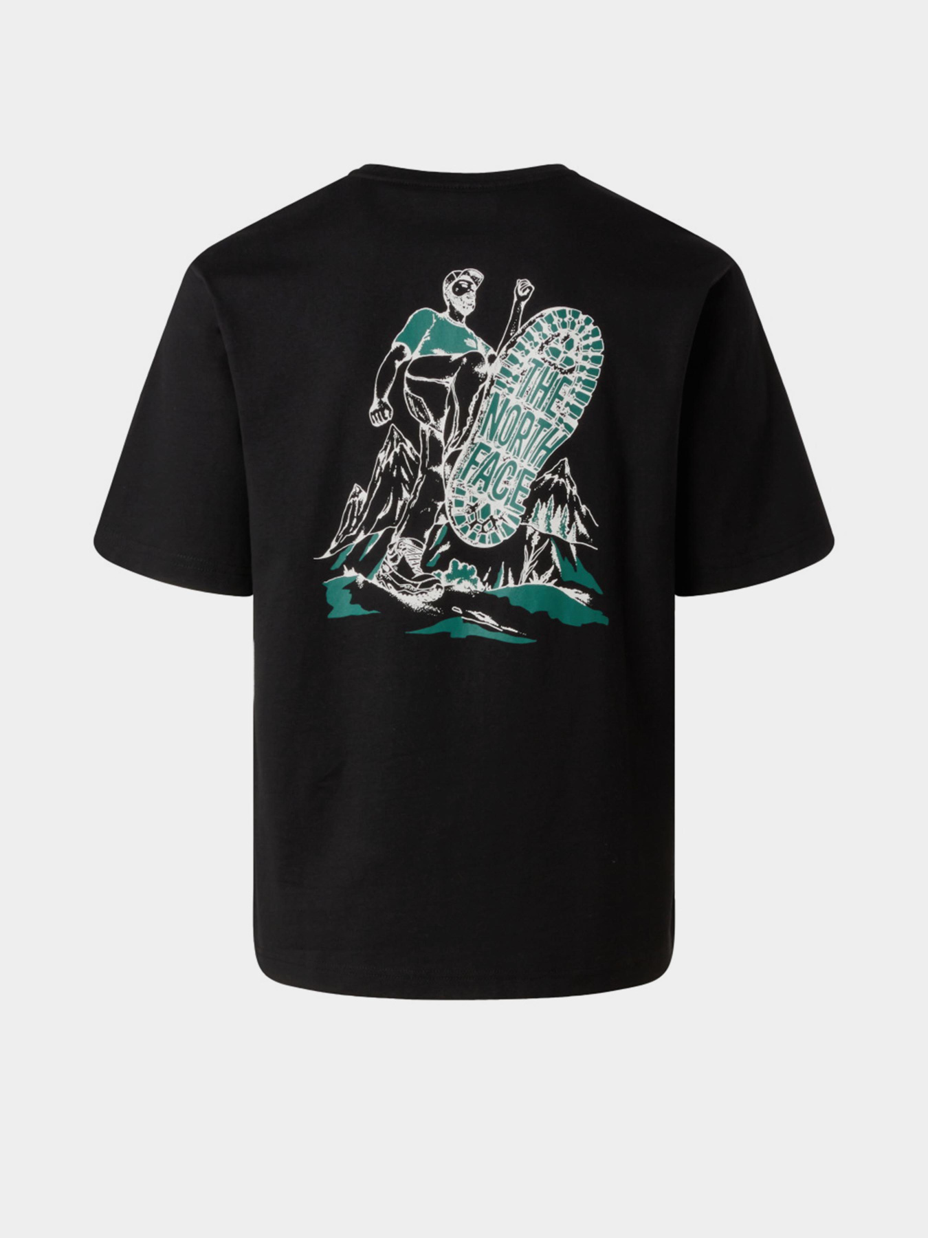 Футболка The North Face HKE модель NF0A8F2TJK31 Фото