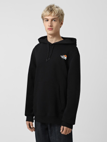Худі та світшоти The North Face Alpine Flower модель NF0A8F64JK31 Фото