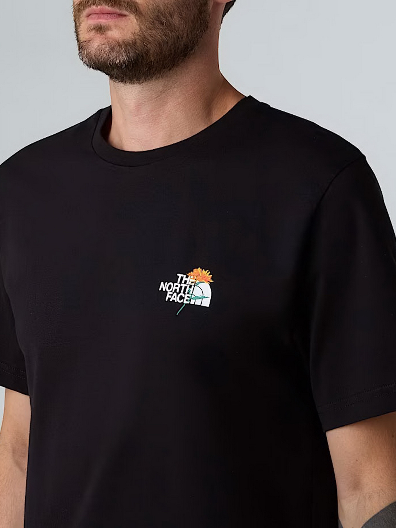 Футболка The North Face модель NF0A8F65JK31 Фото