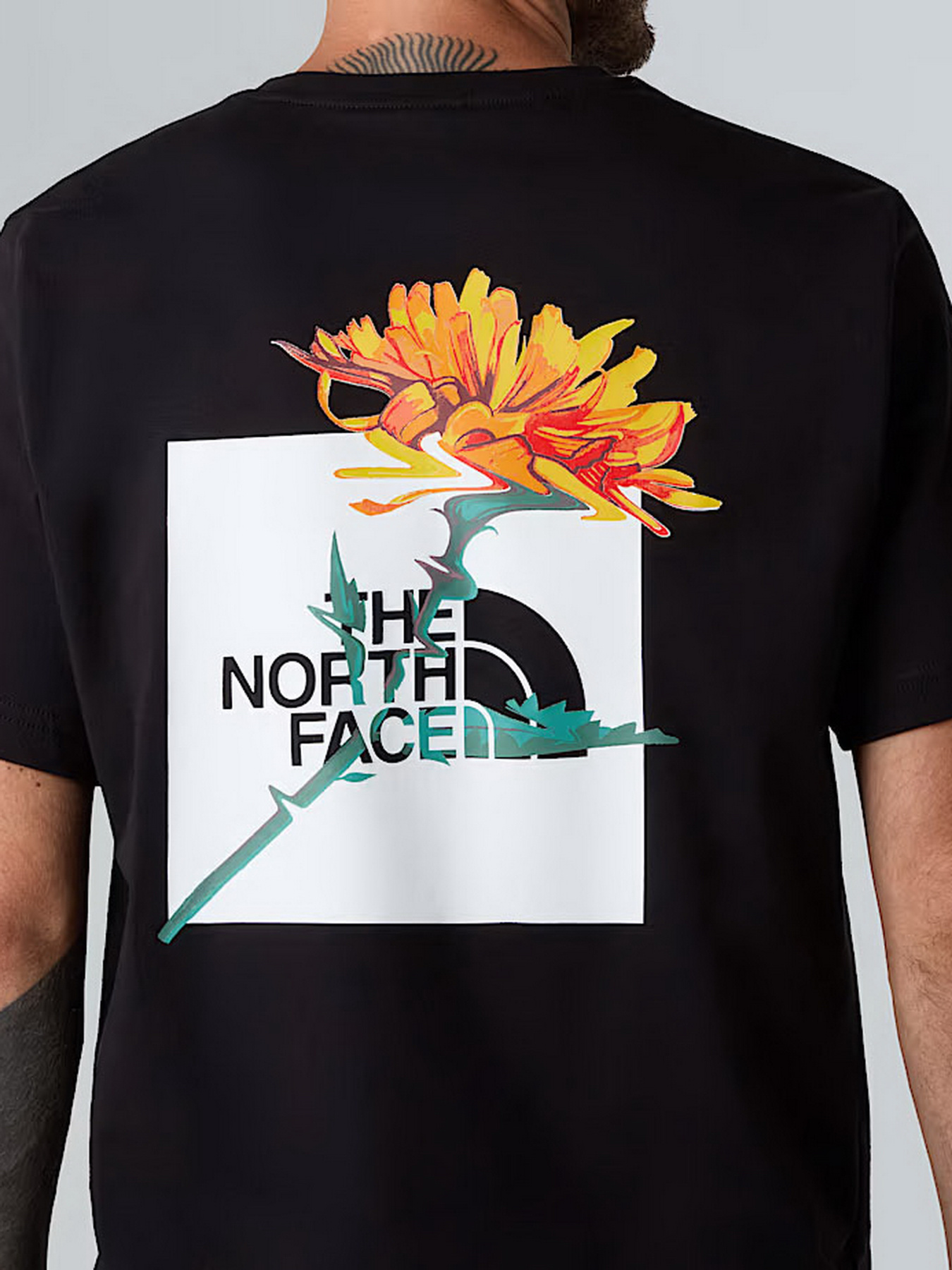 Футболка The North Face модель NF0A8F65JK31 Фото