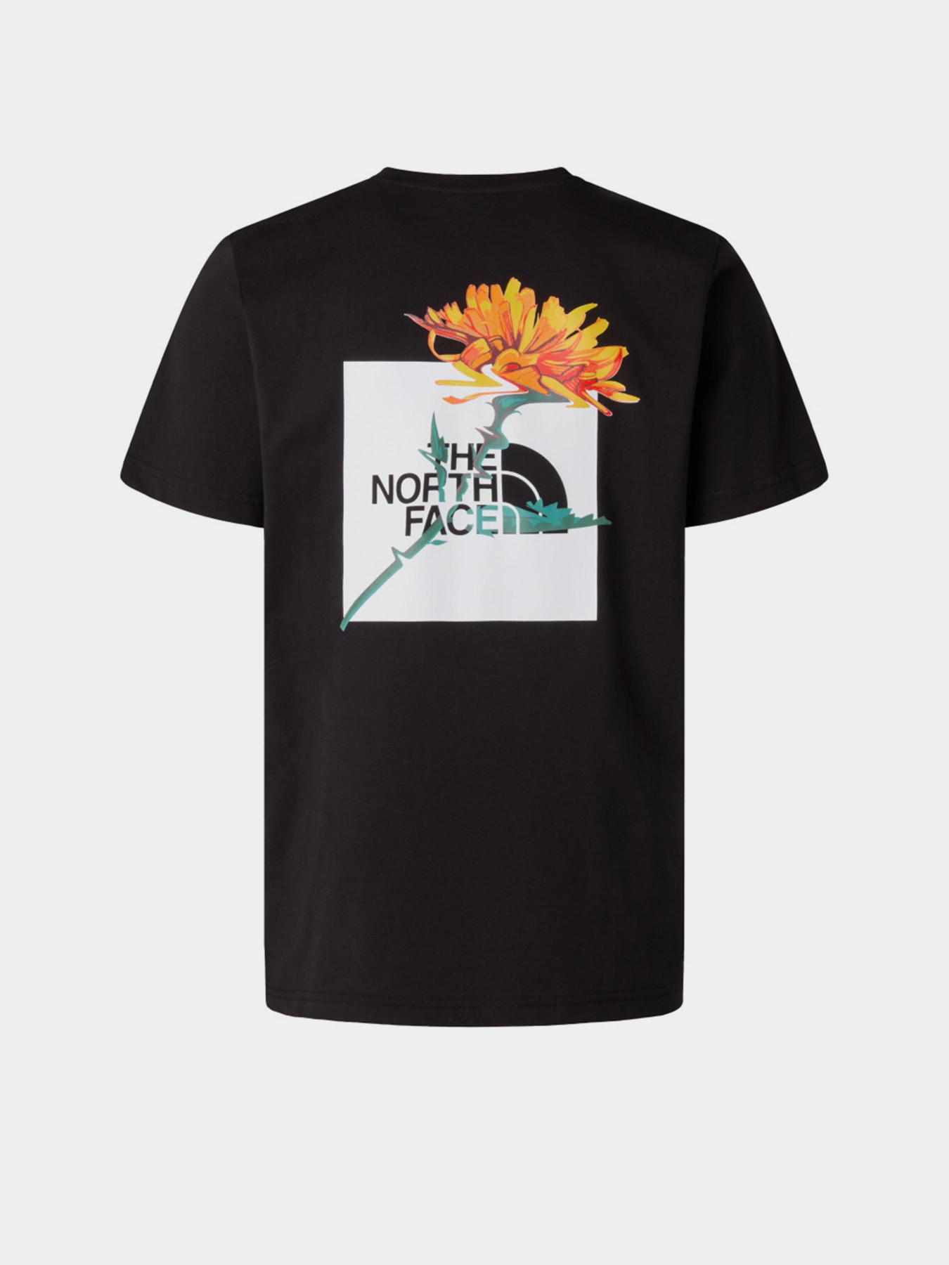 Футболка The North Face модель NF0A8F65JK31 Фото