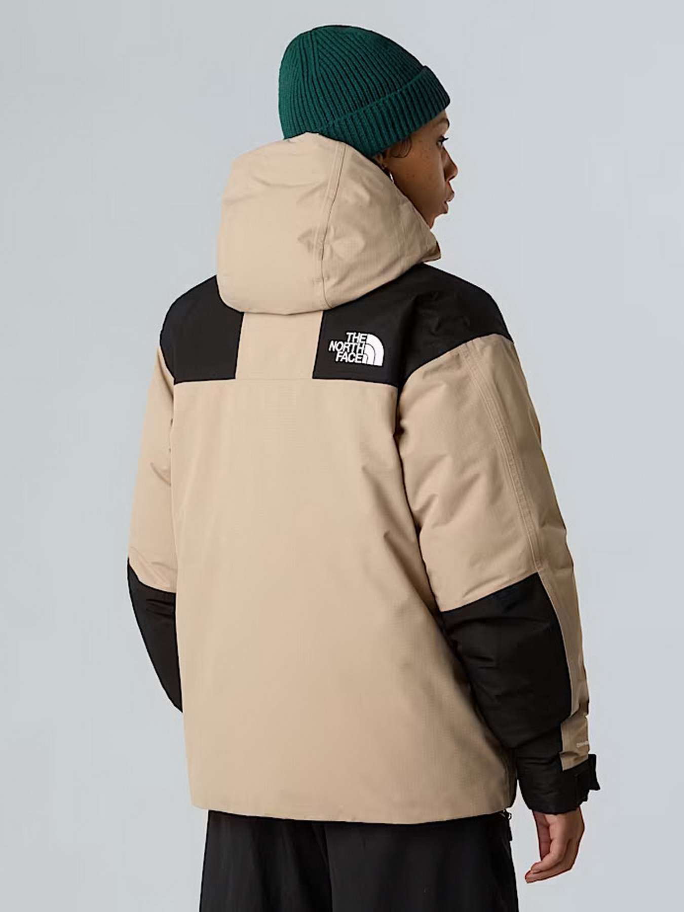 Демисезонная куртка The North Face модель NF0A8D1VDHO1 Фото