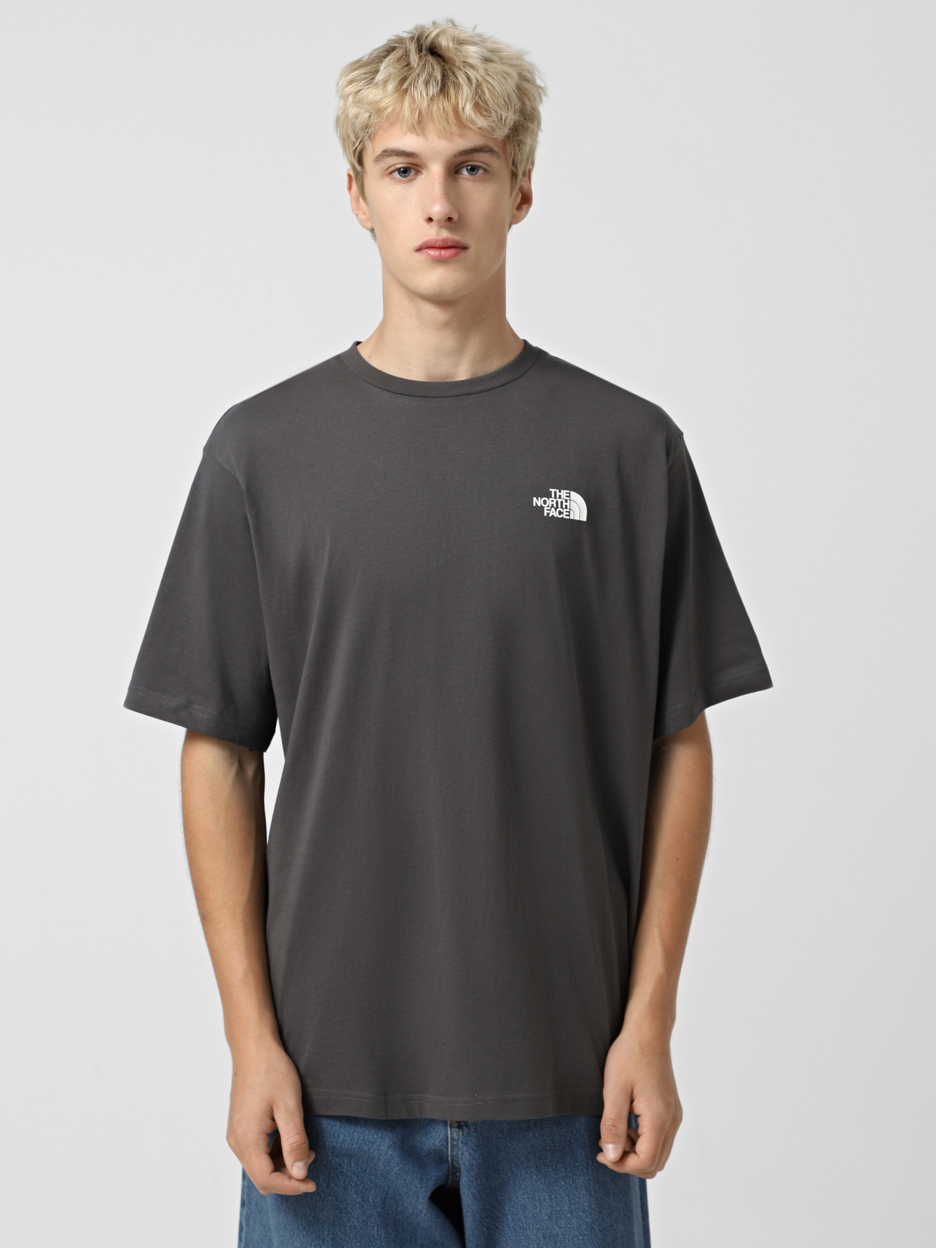 Футболка The North Face Explore Gear модель NF0A8F2GRHI1 Фото