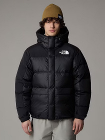 Зимняя куртка The North Face модель NF0A4QYXGOF1 Фото