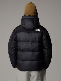 Зимняя куртка The North Face модель NF0A4QYXGOF1 Фото