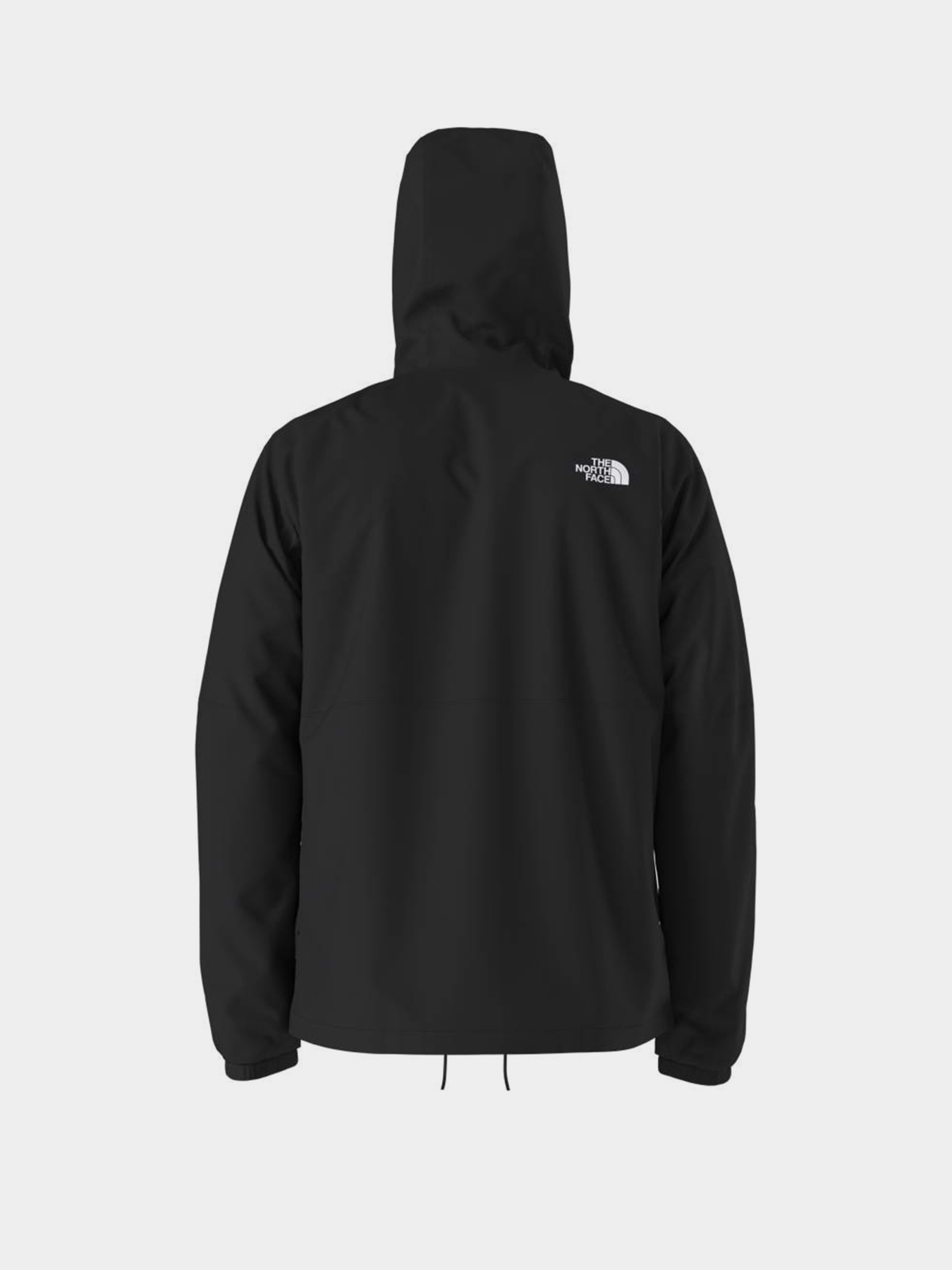 The North Face NF0A7QF34H01 модель NF0A7QF34H01 Фото