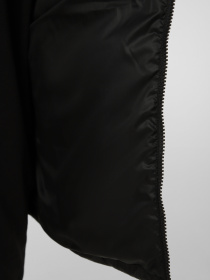 Куртки и дубленки The North Face M HUILA SYNTH VEST модель NF0A8DW4JK31 Фото