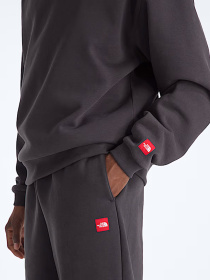 Худи The North Face M TNF RED BOX HOODIE модель NF0A8EFZ0SA1 Худи The North Face M TNF RED BOX HOODIE модель NF0A8EFZ0SA1 Фото