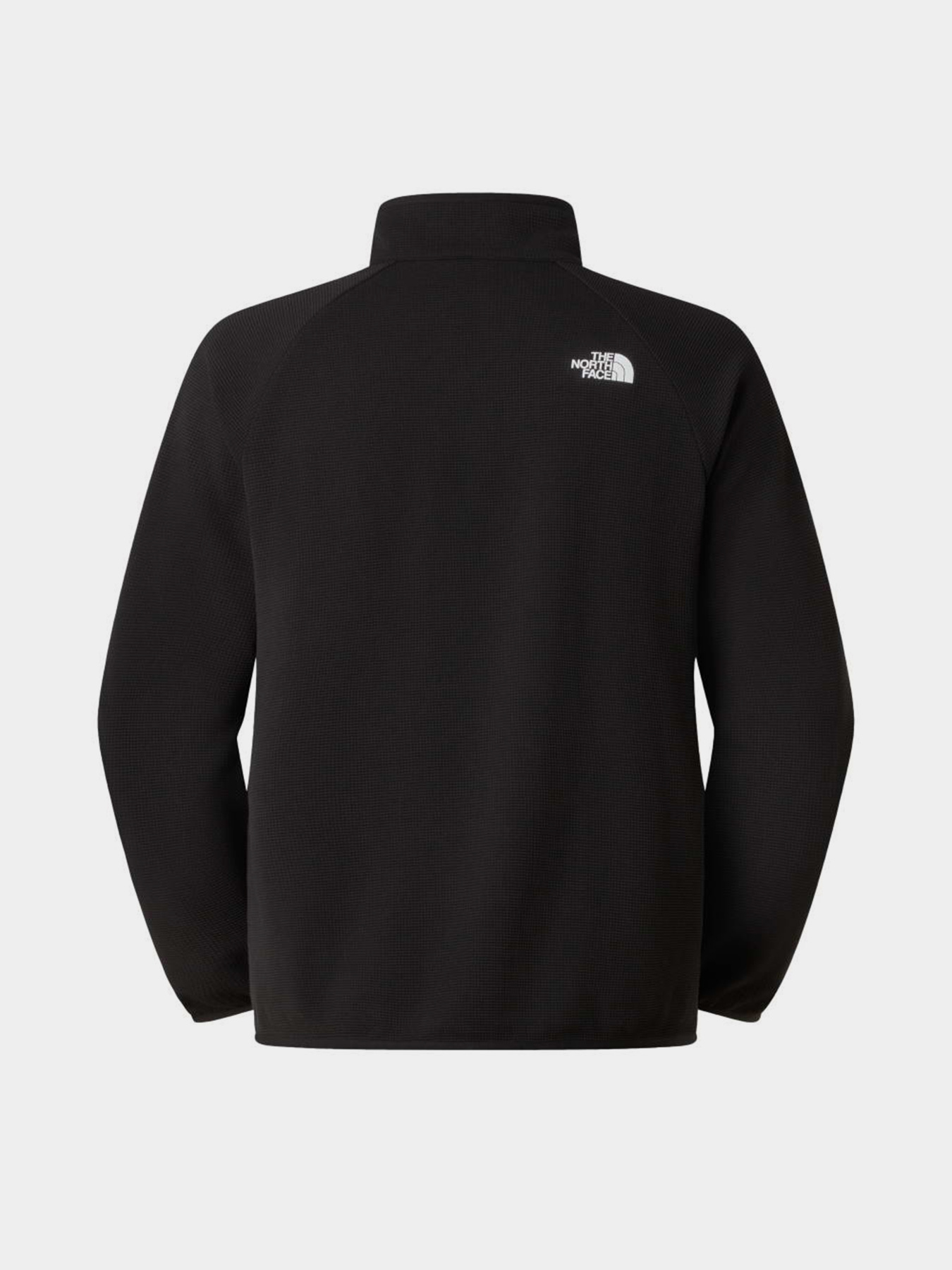 The North Face модель NF0A8G0WJK31 Фото