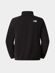 The North Face модель NF0A8G0WJK31 Фото