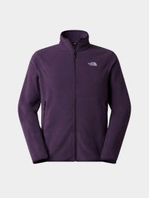 The North Face модель NF0A8D0RG5O1 Фото