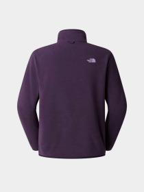 The North Face модель NF0A8D0RG5O1 Фото