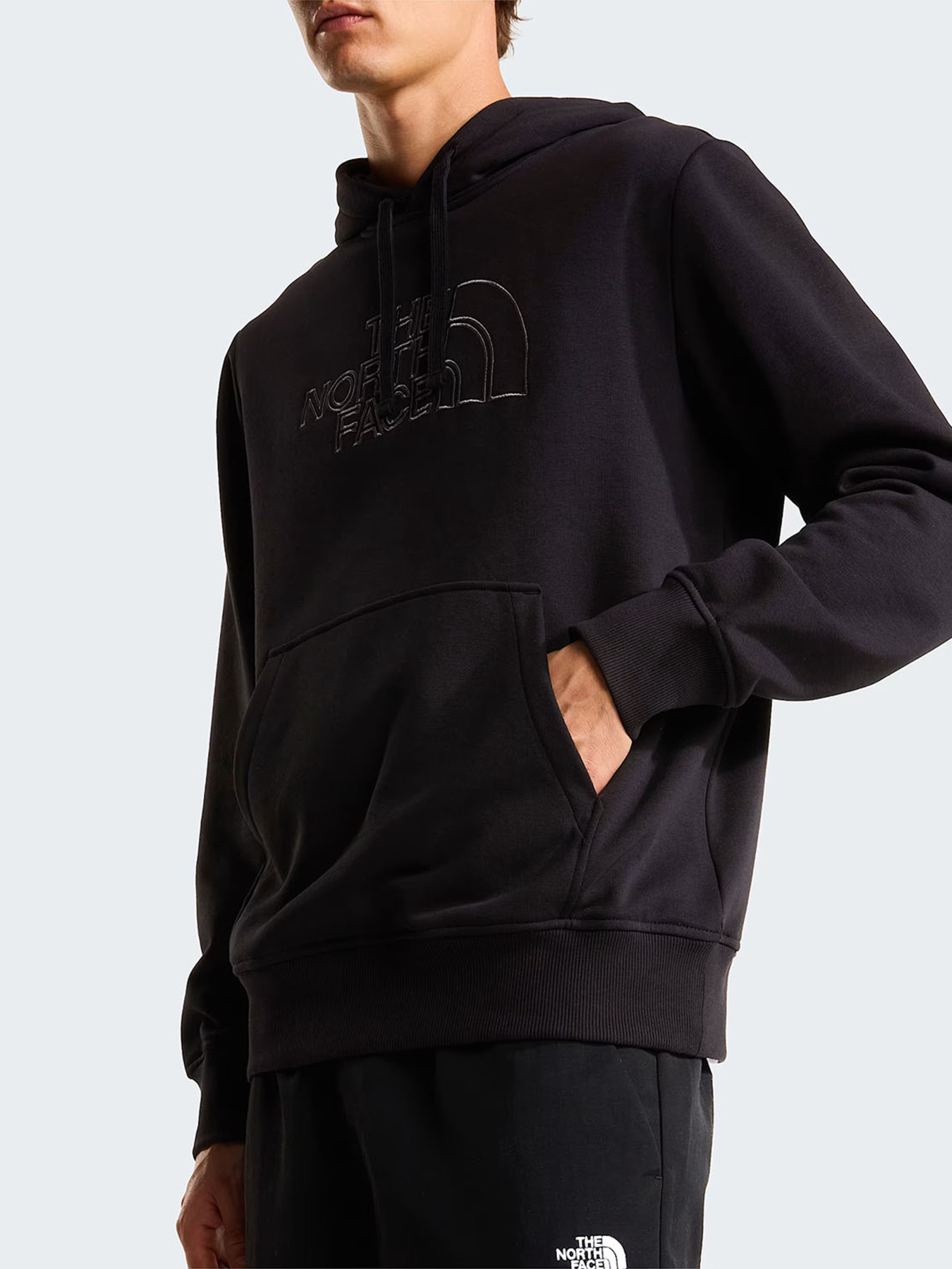 The North Face модель NF0A8C1BW9O1 Фото