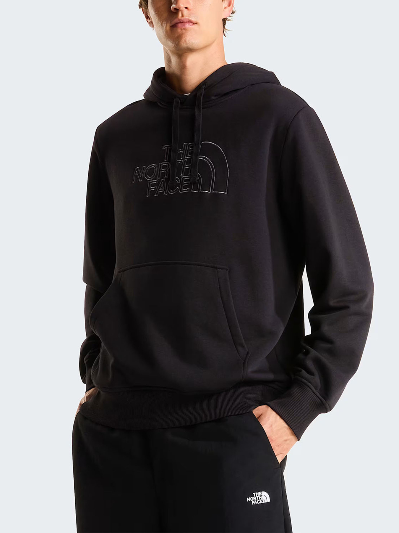 The North Face модель NF0A8C1BW9O1 Фото