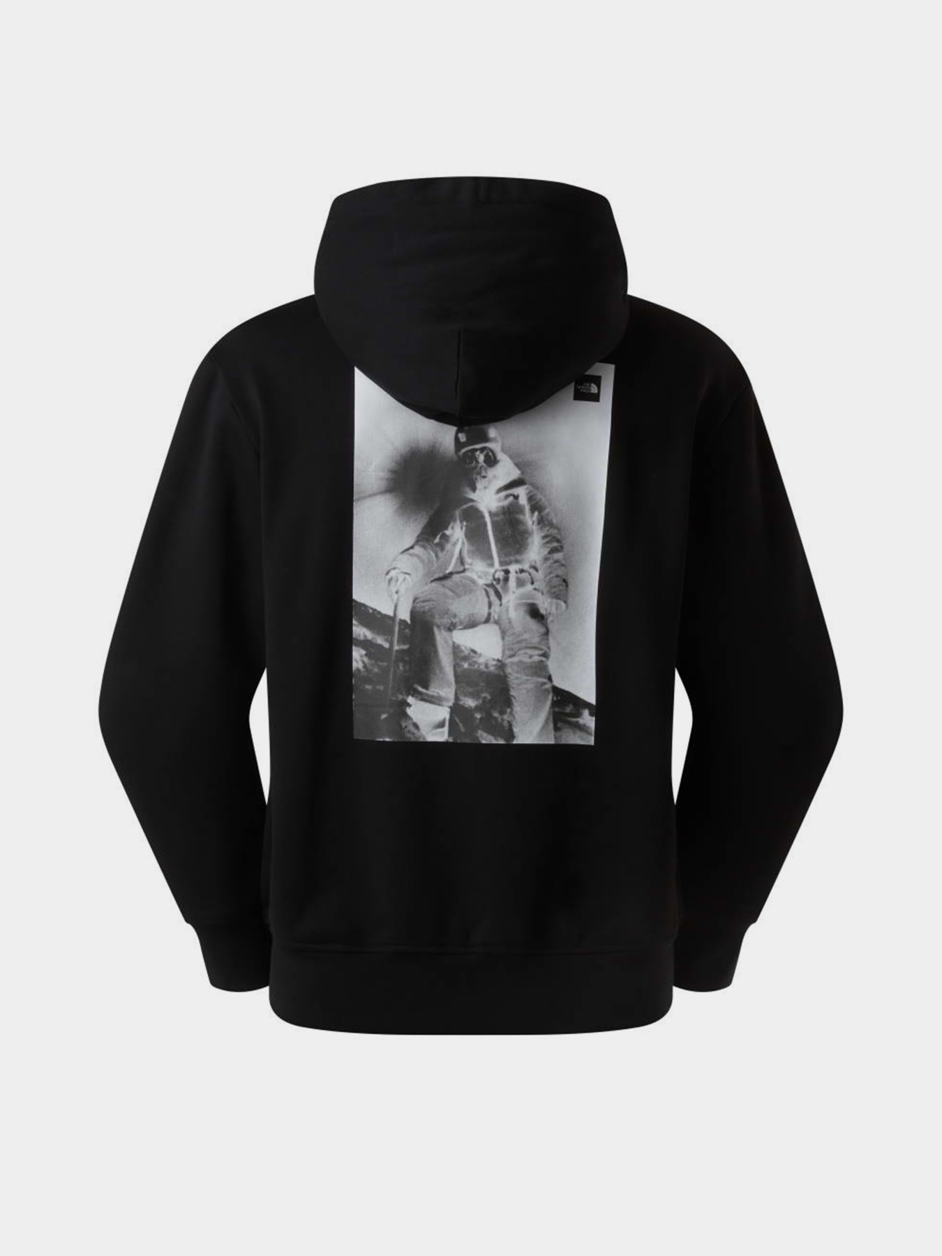 The North Face модель NF0A8G9NJK31 Фото