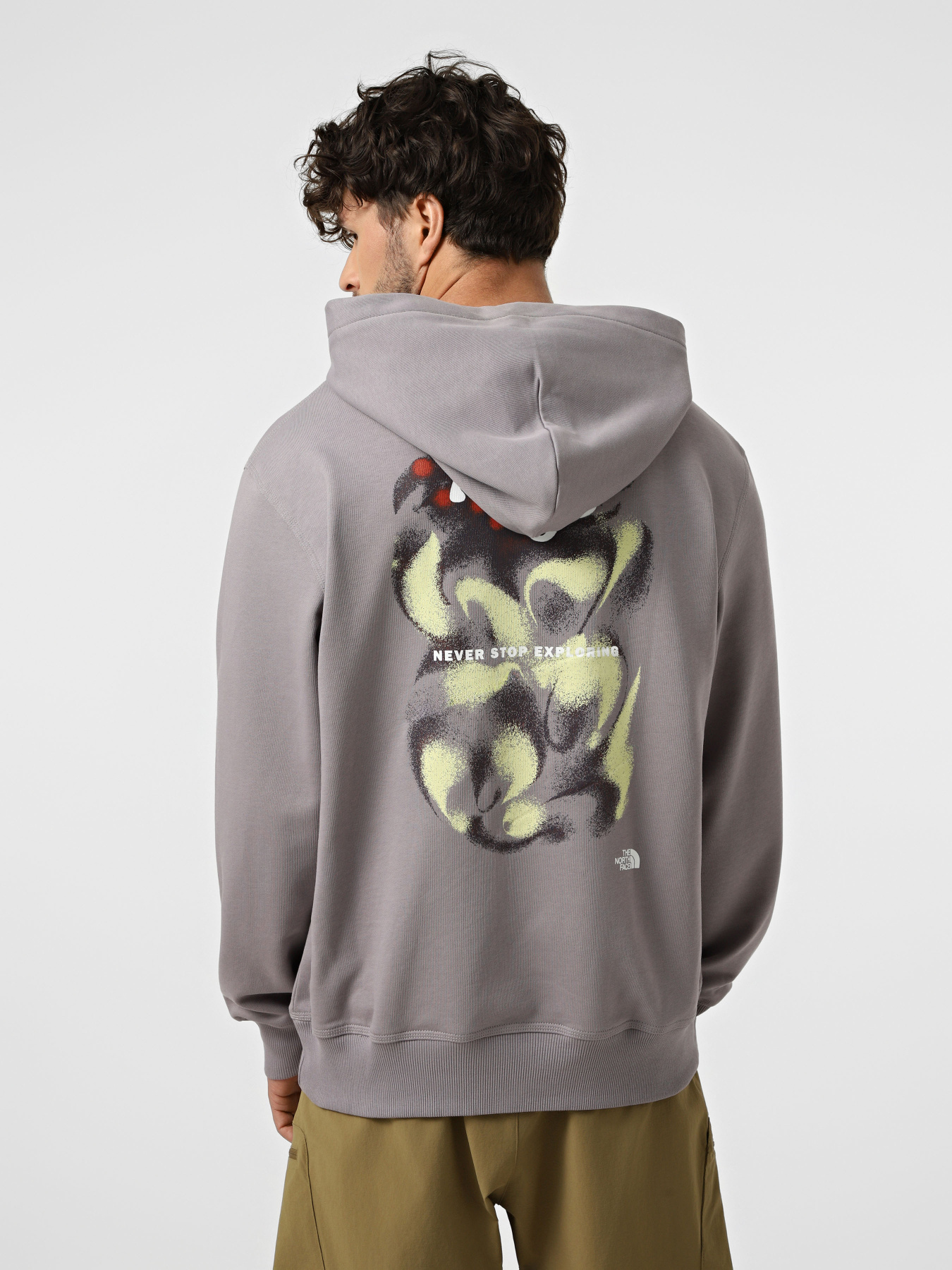 Худі та світшоти The North Face U 1966 MOTION RELAXED HOODIE-G модель NF0A8GAJG7O1 Худі та світшоти The North Face U 1966 MOTION RELAXED HOODIE-G модель NF0A8GAJG7O1 Фото
