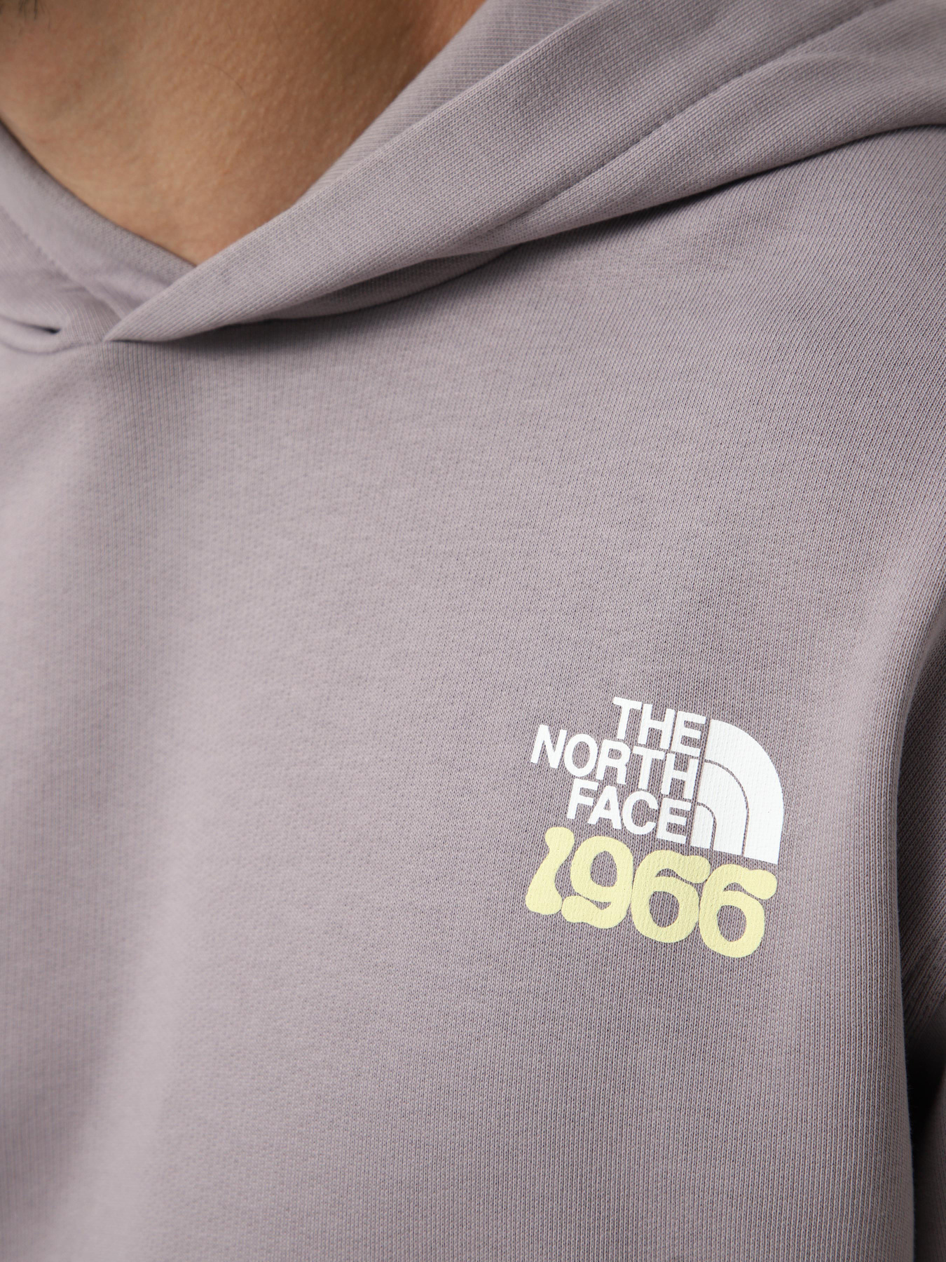 Худі та світшоти The North Face U 1966 MOTION RELAXED HOODIE-G модель NF0A8GAJG7O1 Худі та світшоти The North Face U 1966 MOTION RELAXED HOODIE-G модель NF0A8GAJG7O1 Фото