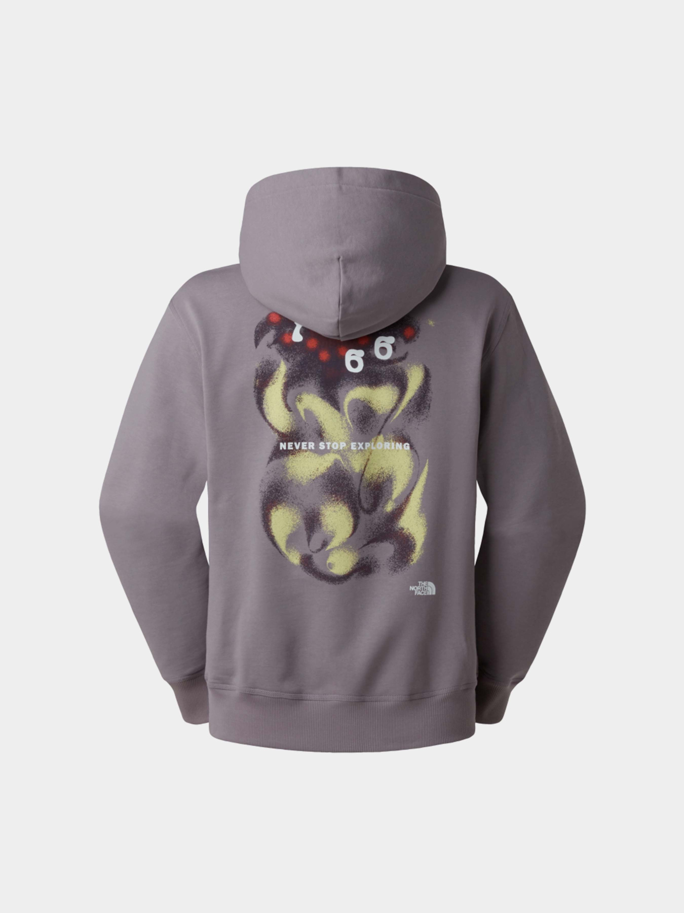 Худі та світшоти The North Face U 1966 MOTION RELAXED HOODIE-G модель NF0A8GAJG7O1 Фото