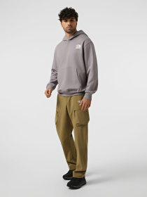 Худі та світшоти The North Face U 1966 MOTION RELAXED HOODIE-G модель NF0A8GAJG7O1 Фото