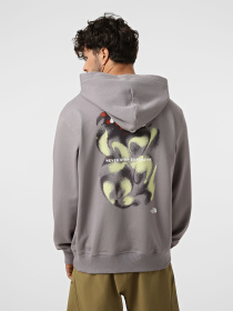 Худі та світшоти The North Face U 1966 MOTION RELAXED HOODIE-G модель NF0A8GAJG7O1 Фото