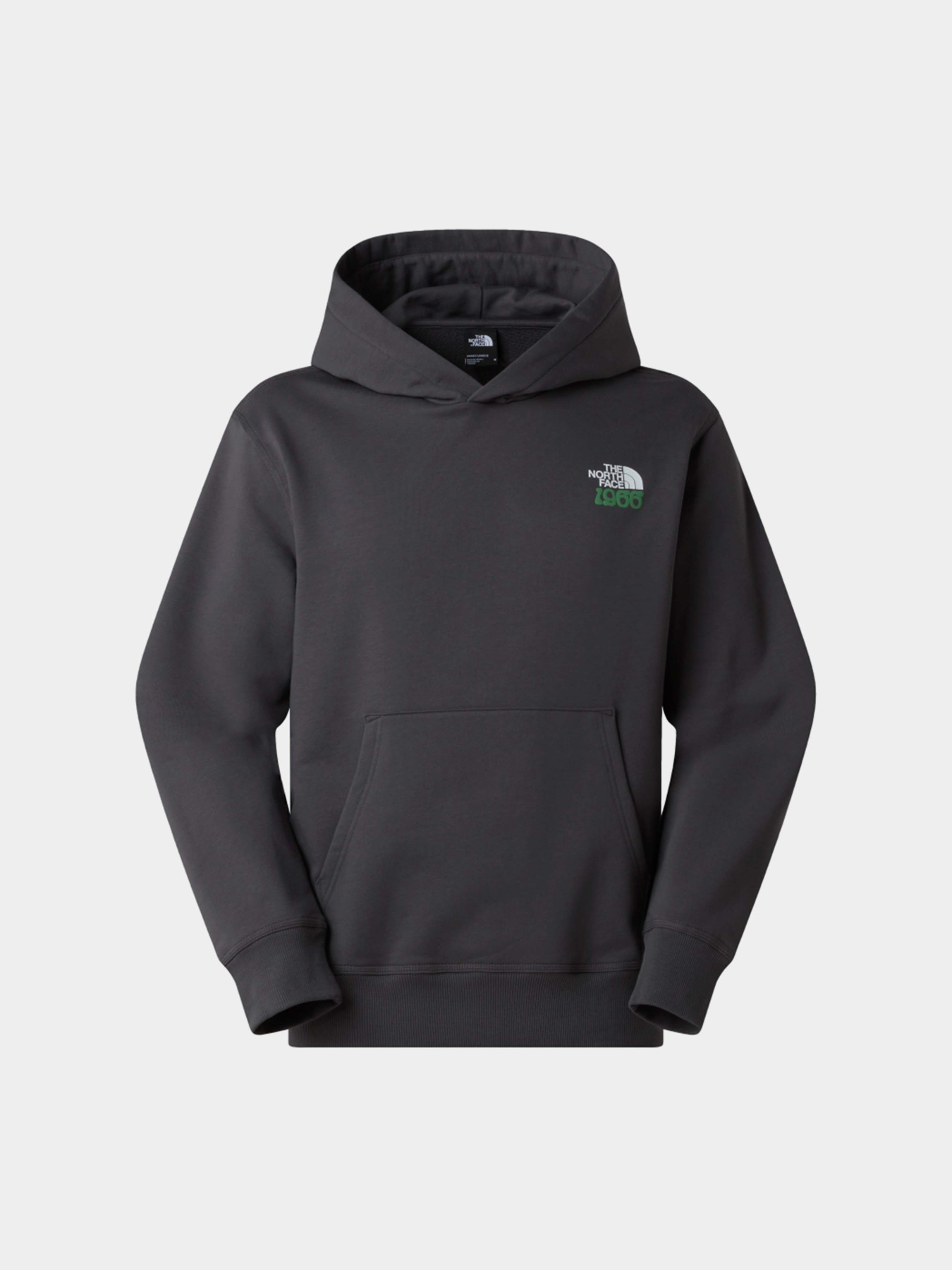 Худи и свитшоты The North Face U 1966 MOTION RELAXED HOODIE-G модель NF0A8GAJRHI1 Фото
