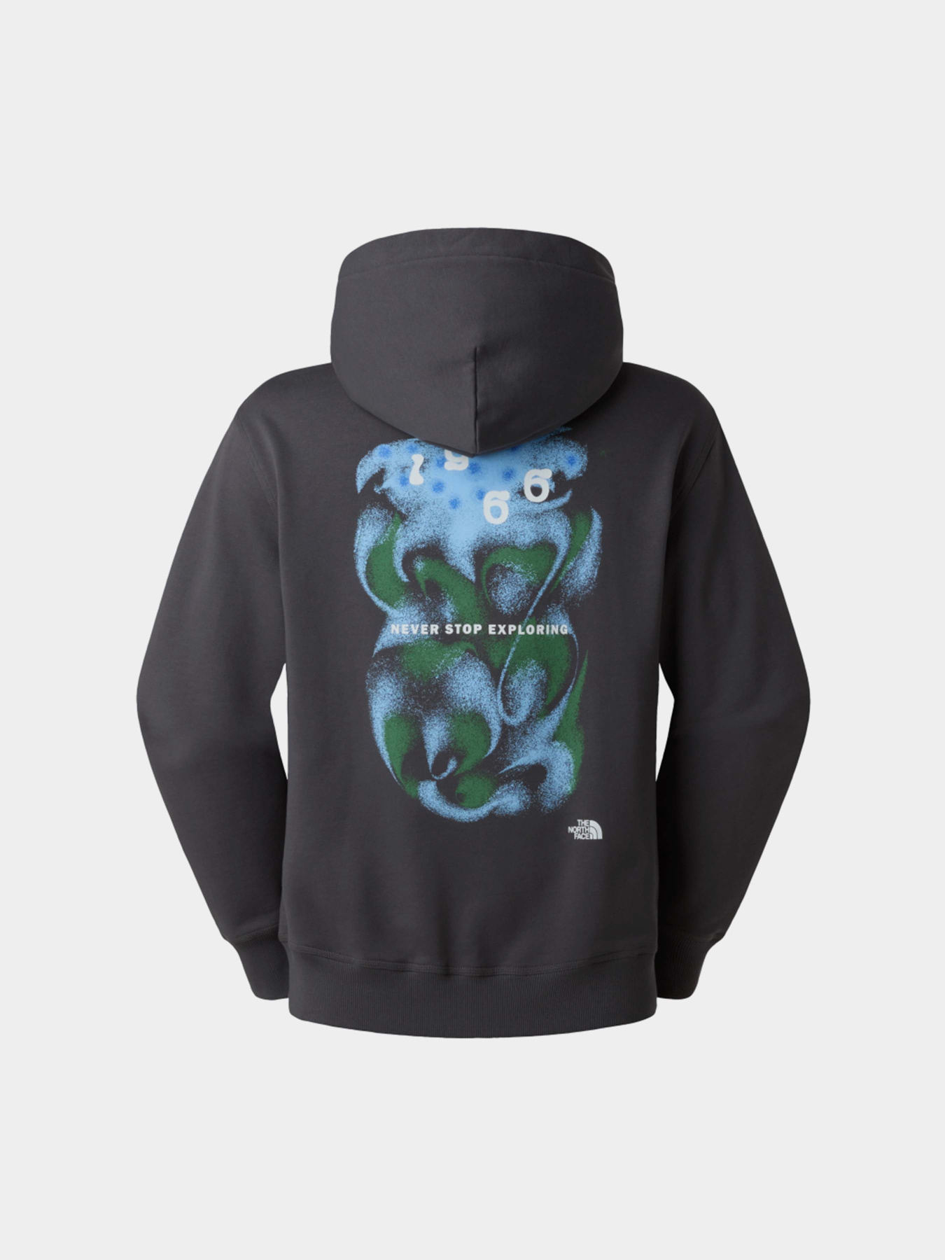 Худи и свитшоты The North Face U 1966 MOTION RELAXED HOODIE-G модель NF0A8GAJRHI1 Фото