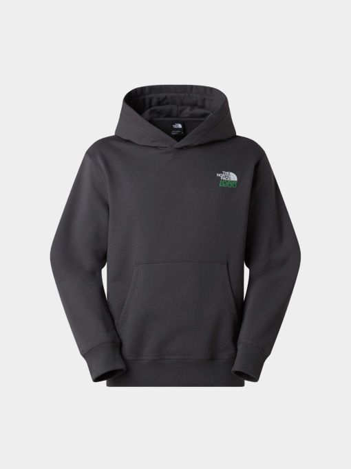 Худі та світшоти The North Face U 1966 MOTION RELAXED HOODIE-G модель NF0A8GAJRHI1 Фото