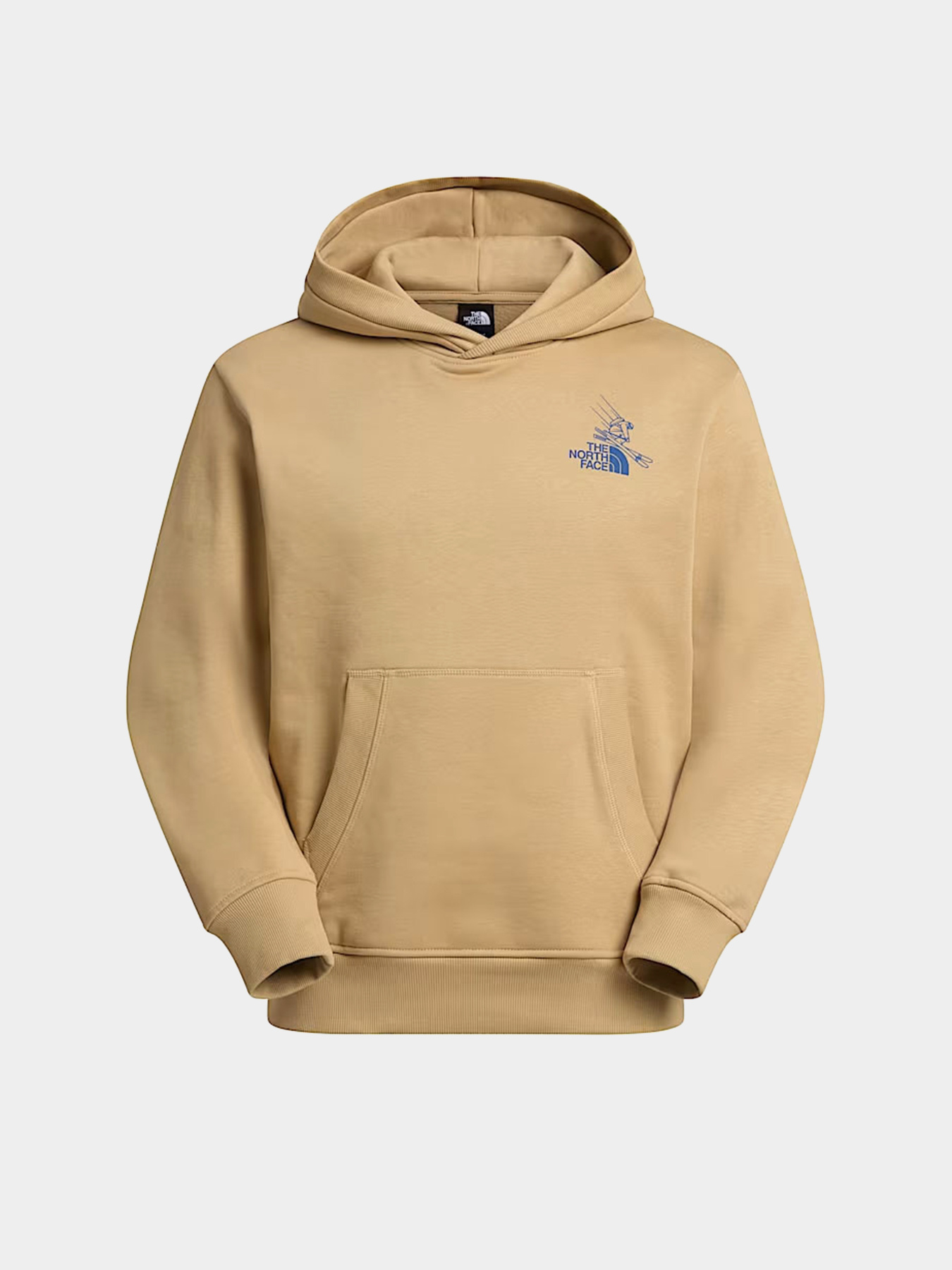 Худи The North Face U MOUNTAIN CELEBRATION RELAXED модель NF0A8GB9LK51 Фото