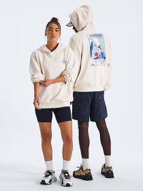 The North Face модель NF0A8GB9QLI1 Фото