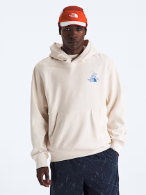 Худи The North Face U MOUNTAIN CELEBRATION RELAXED модель NF0A8GB9QLI1 Фото