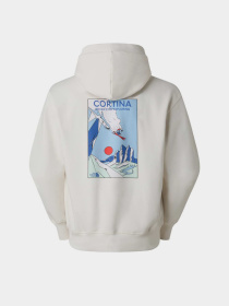 Худи The North Face U MOUNTAIN CELEBRATION RELAXED модель NF0A8GB9QLI1 Фото