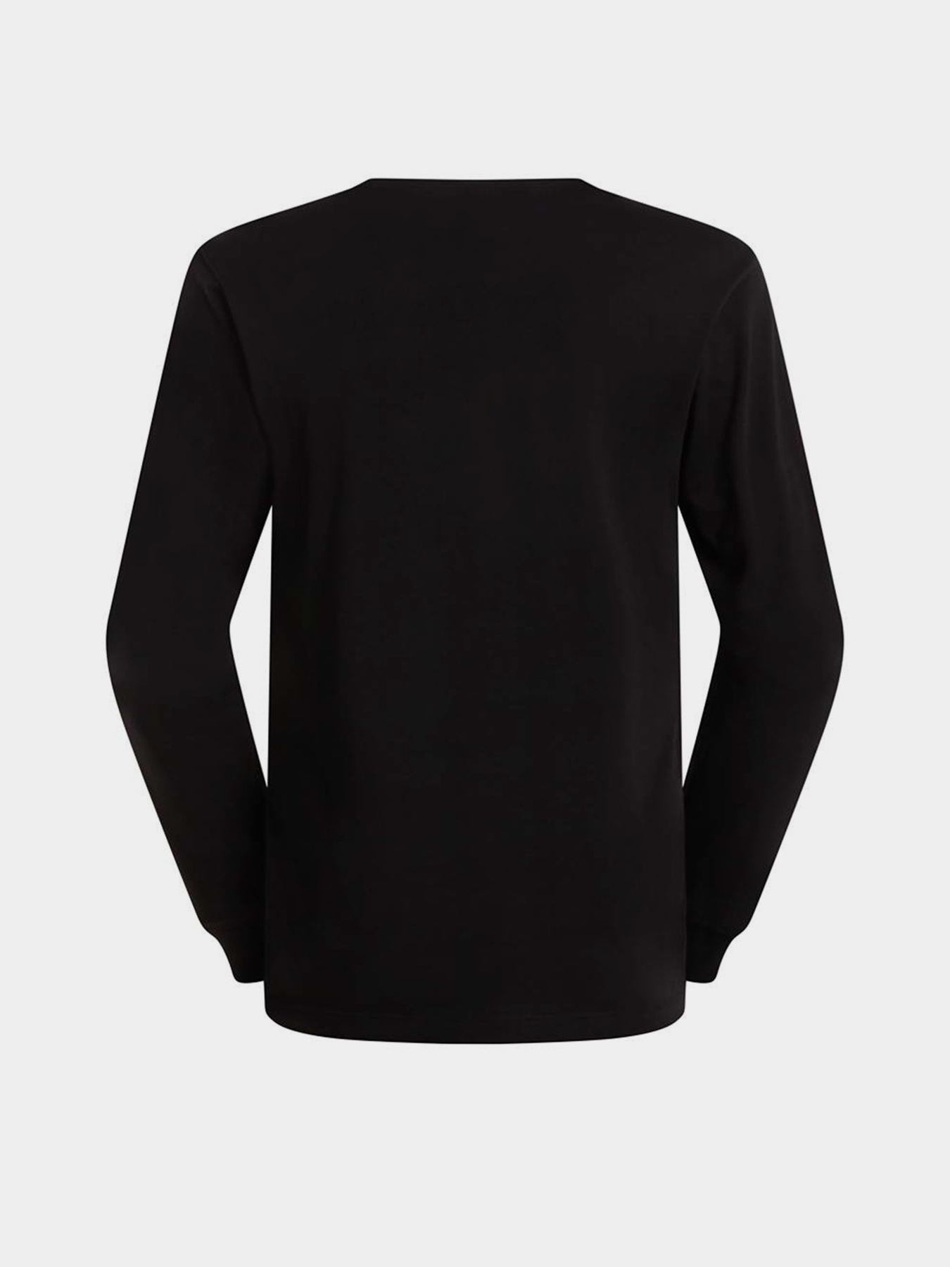 Лонгслів The North Face M EVOLUTION SIMPLE DOME REGULA модель NF0A8EU3JK31 Лонгслів The North Face M EVOLUTION SIMPLE DOME REGULA модель NF0A8EU3JK31 Фото