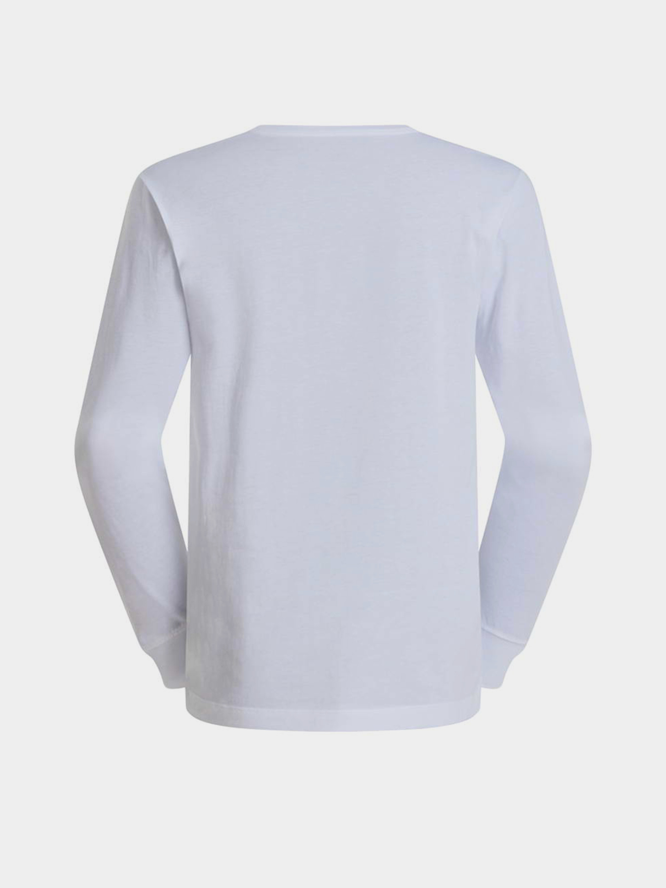 Лонгслів The North Face M EVOLUTION SIMPLE DOME REGULA модель NF0A8EU3FN41 Лонгслів The North Face M EVOLUTION SIMPLE DOME REGULA модель NF0A8EU3FN41 Фото