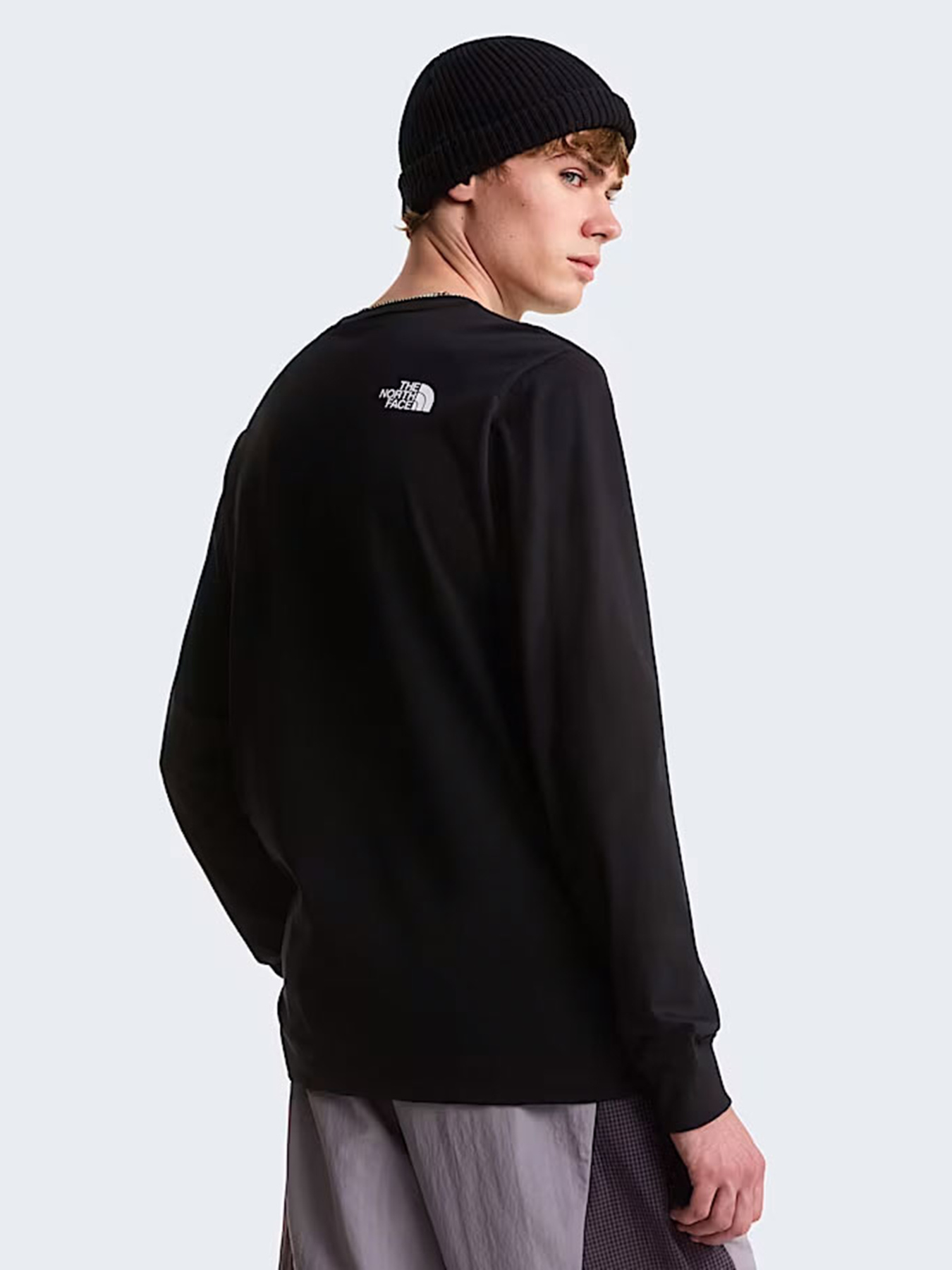 Лонгслів The North Face M EVOLUTION HALF DOME REGULAR модель NF0A8FD6JK31 Фото