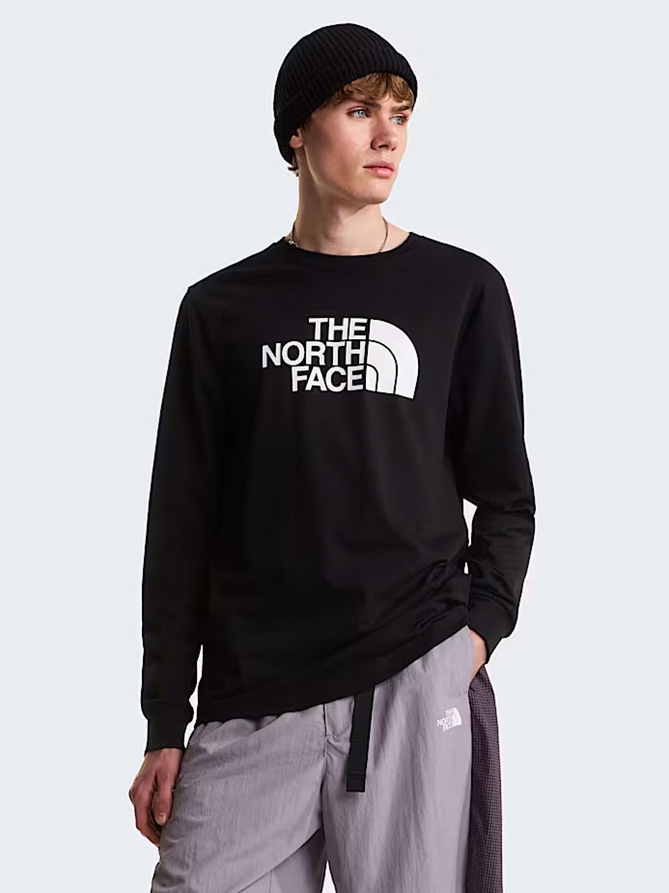 Лонгслів The North Face M EVOLUTION HALF DOME REGULAR модель NF0A8FD6JK31 Фото