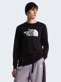 Худі та світшоти The North Face M EVOLUTION HALF DOME REGULAR модель NF0A8FD6JK31 Фото